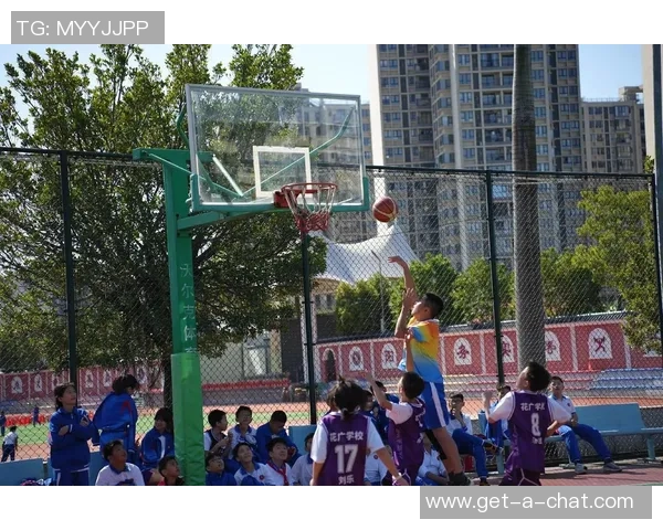 在篮球场上挥洒汗水与激情分享我的篮球故事与朋友圈的快乐时光