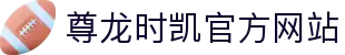 Z6·尊龙时凯「中国区」-Delight the World